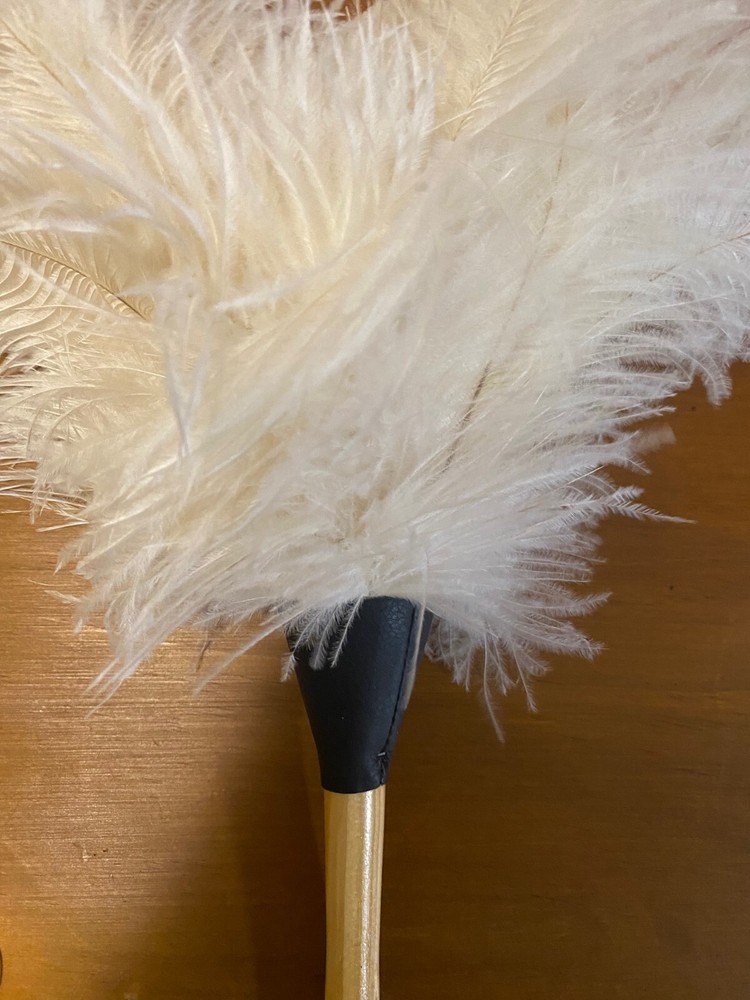light cream first grade ostrich feather duster wood shaped gloss handle 35cm