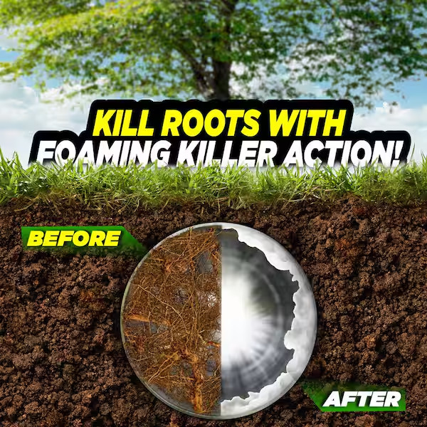 10 Lbs Foaming Root Killer Drain Cleaner