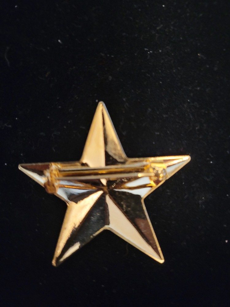 Gold Star Brooch