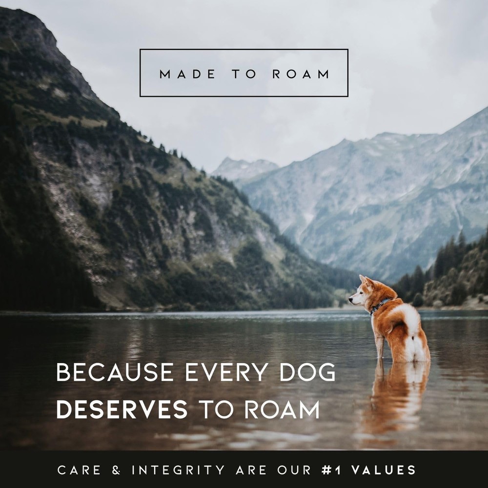 Nylon Dog Collar - Adjustable, Quick-Release Buckle