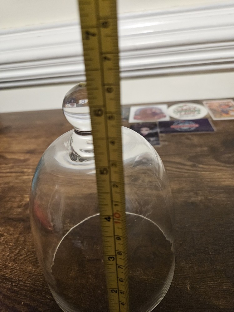 Clear Glass Cupcake Dome Cloche