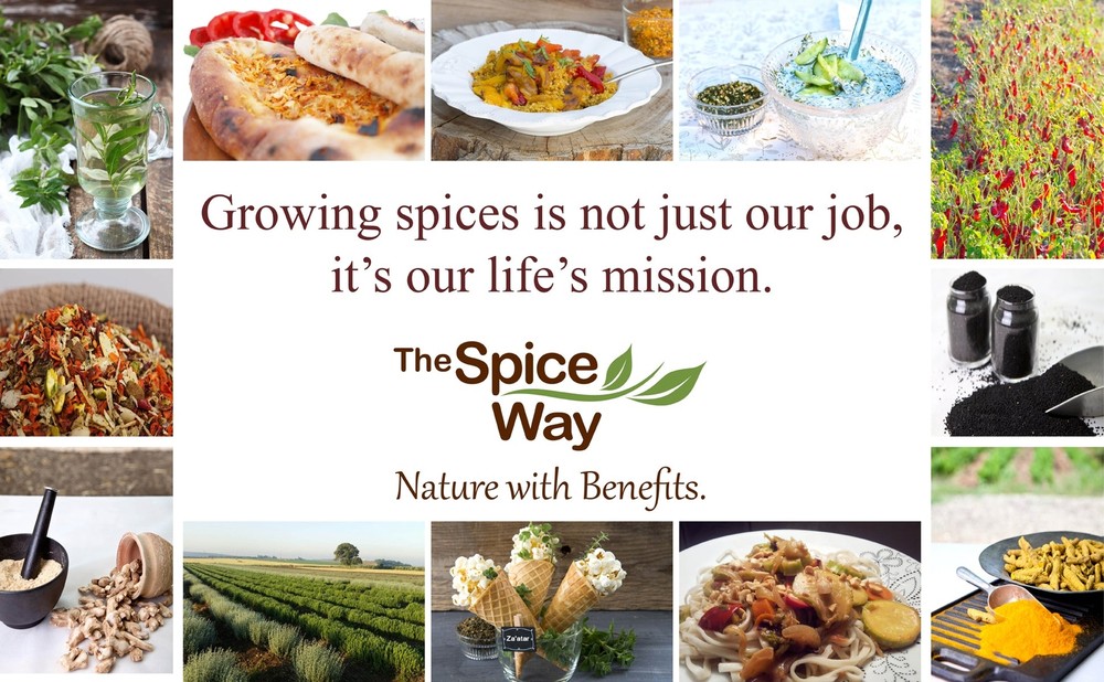 The Spice Way Ginger Powder