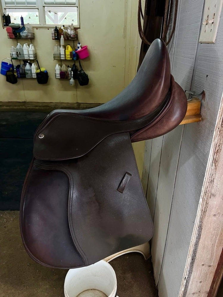 Collegiate Saddle 16.5”