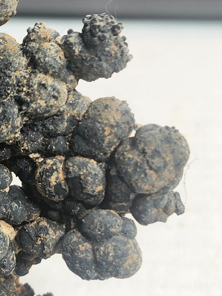 Psilomelane, Sheriff Mine, Hatch, NM