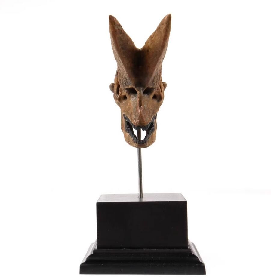 Arsnoitherium Skull Statue Head Animal Model 3D printing Display