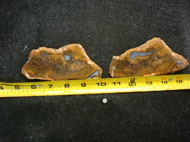 mexican sagenite slabs