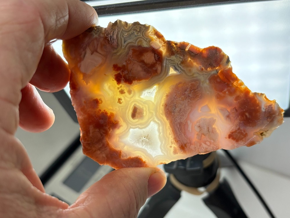 Cotton Candy Agate Slabs Cabbing Lapidary Collecting Combo Ship Avail