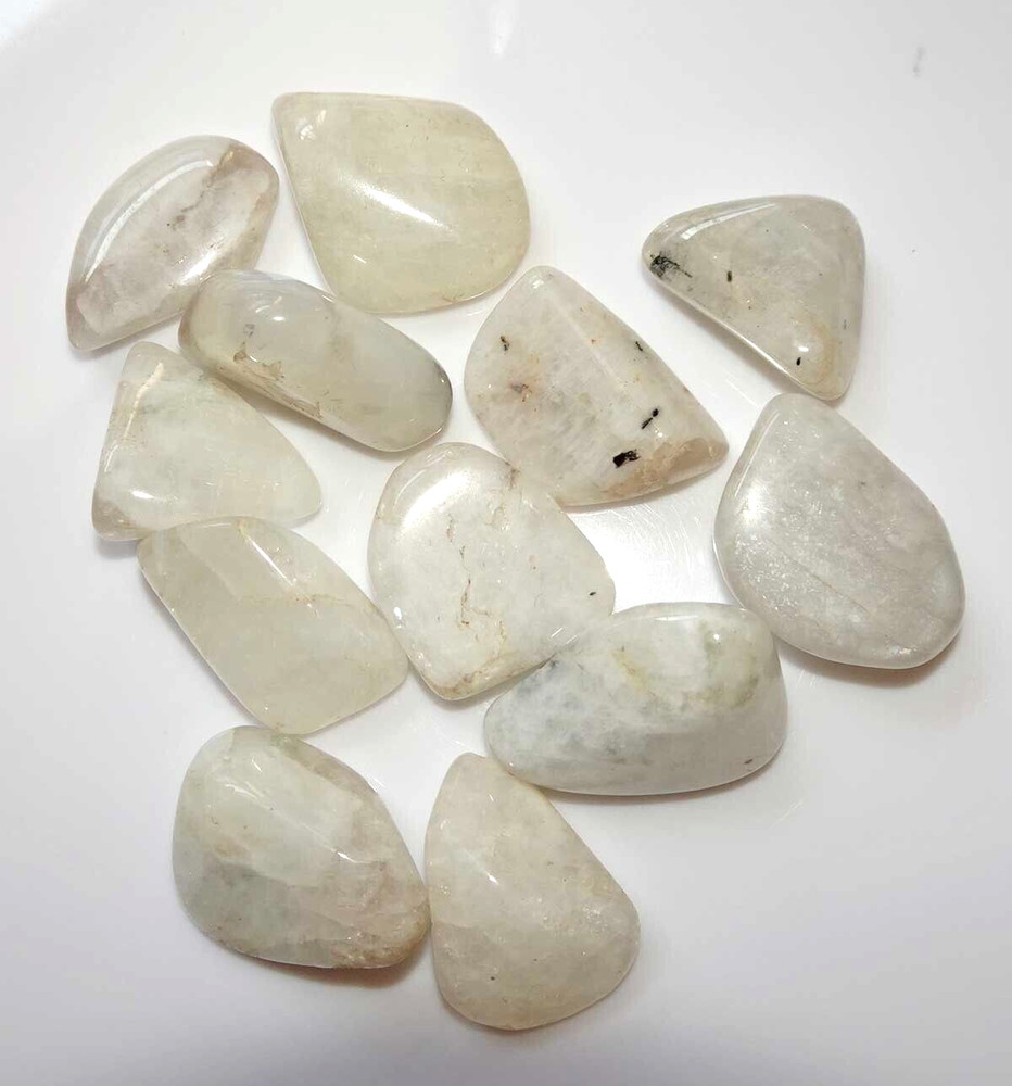Rainbow Moonstone - 12 Tumbled stones rt663c