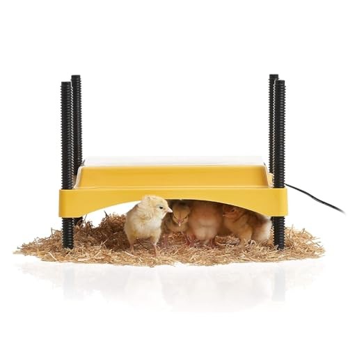 Brinsea Ecoglow Safety 600 Chick or Duckling Brooder,  Assorted Sizes