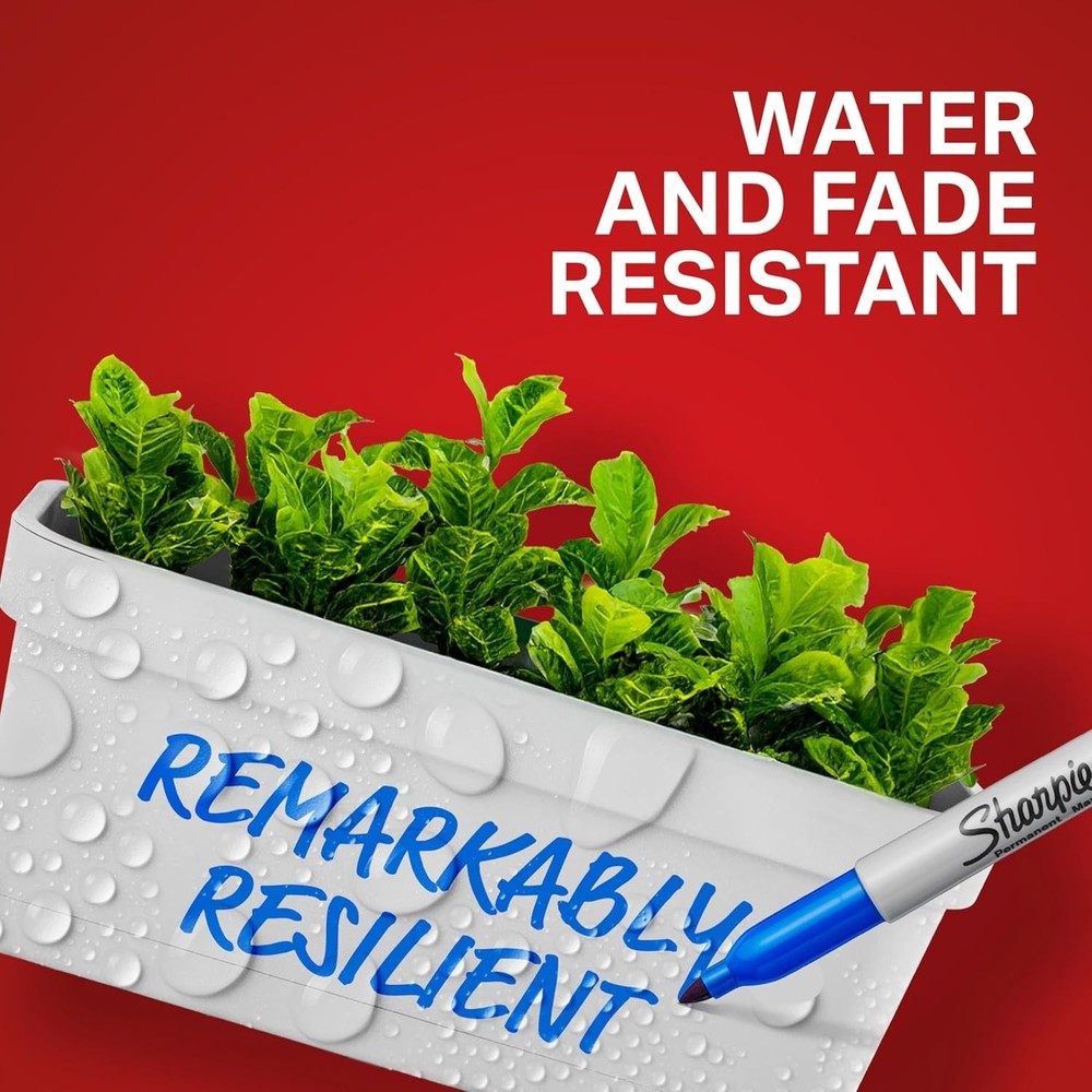 Permanent Markers, Fine Point, Assorted Colors, 24 Count