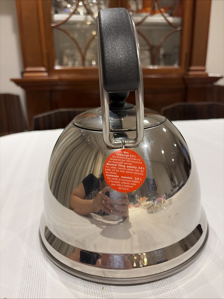 WMF Dream Water kettle 2.0 L tea kettle Stainless Universal Bottom