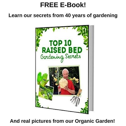 Garden Gloves
