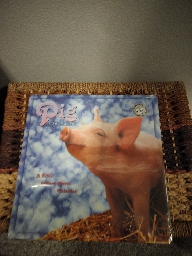 Vintage Pig Portraits 2000 Sealed Calendars, Avalanche