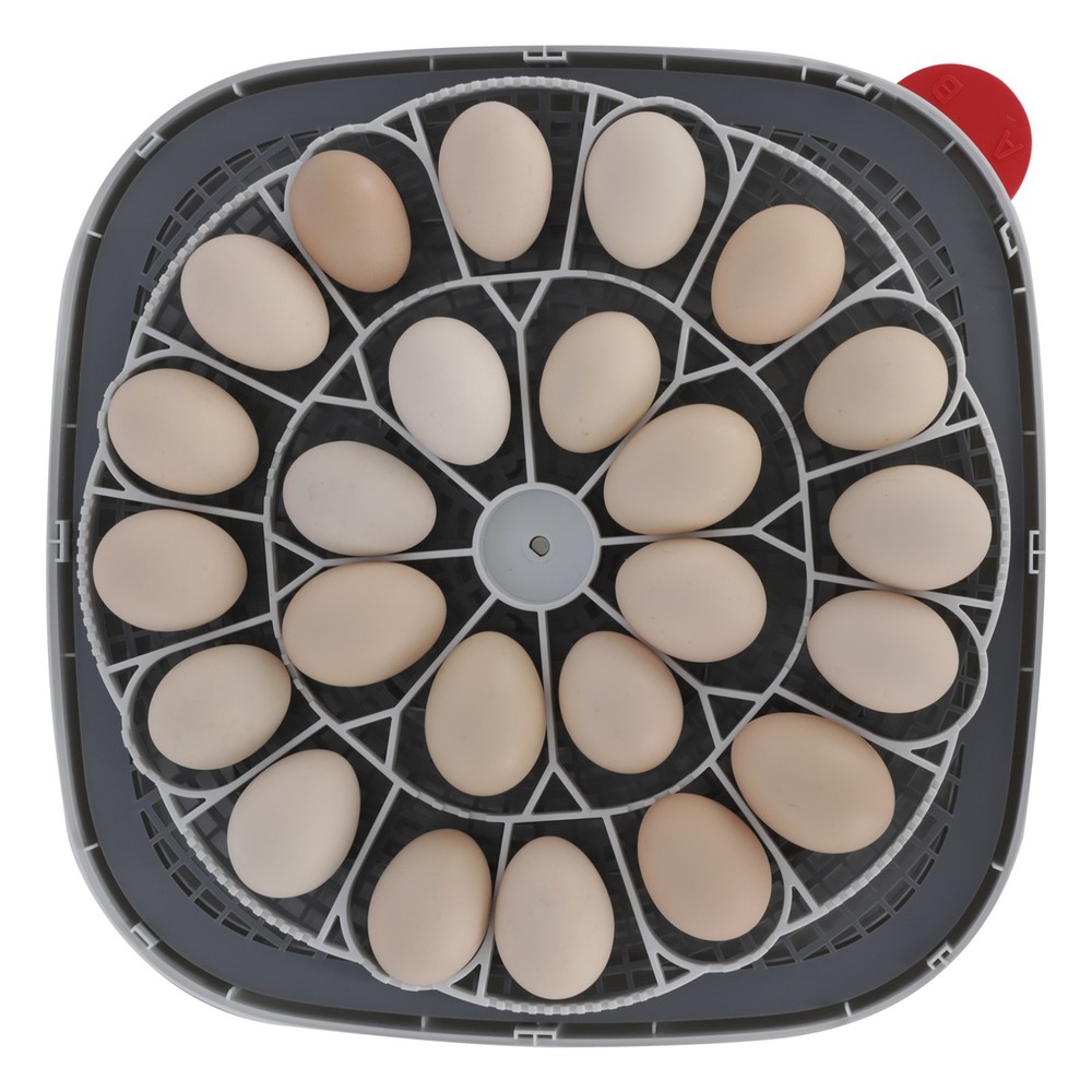 Incubators for Hatching Eggs 24~70 Egg Incubator Automatic Egg Turning Chicken🐣