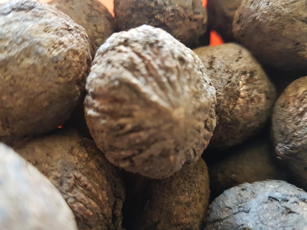 Black walnut in shell 250gr.(Juglans nigra)
