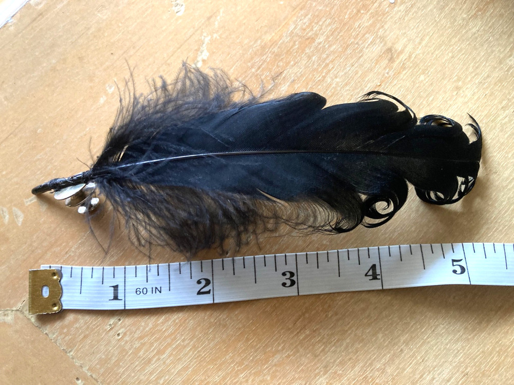Ann Demeulemeester Black Feather pin with box