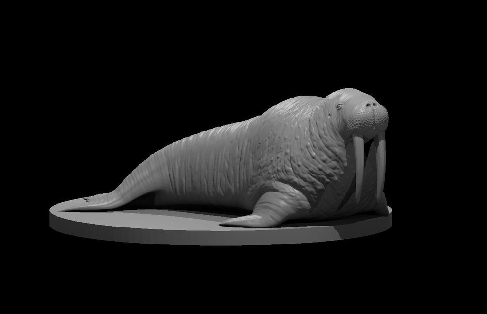 Walrus Monster Manual 28mm Scale DND D&D Tabletop Mini