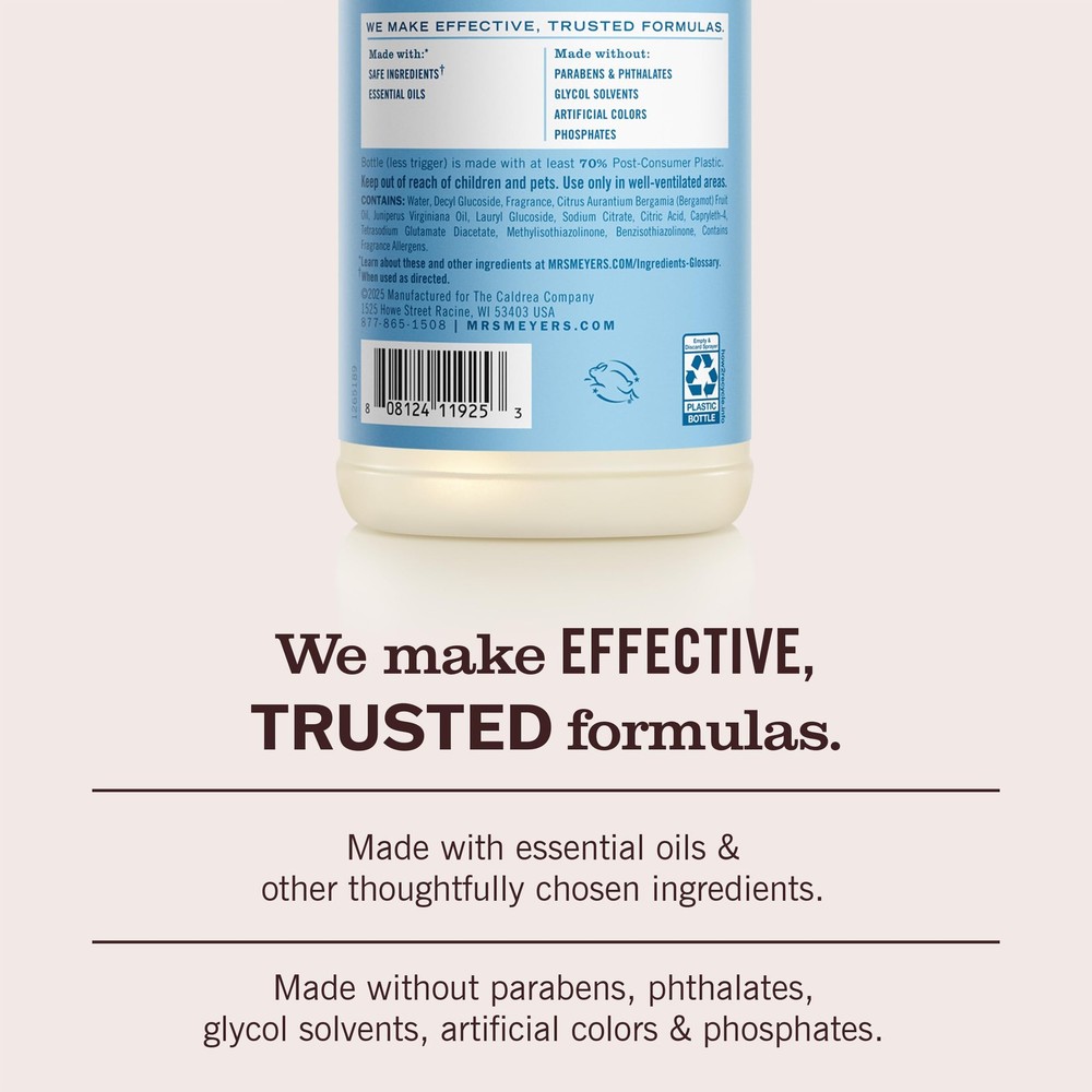 Multi-Surface Cleaner Rain Water Scent 16 Fl Oz - 1 Pack