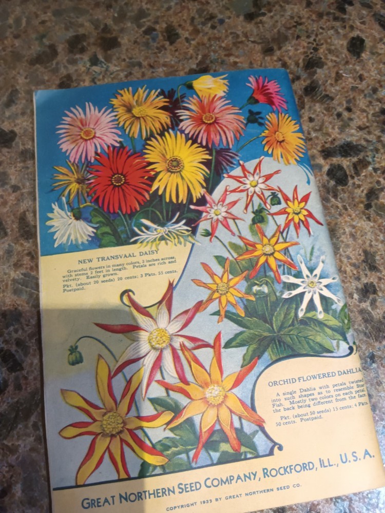 Vintage 1933 Great Northern Seed Catalog