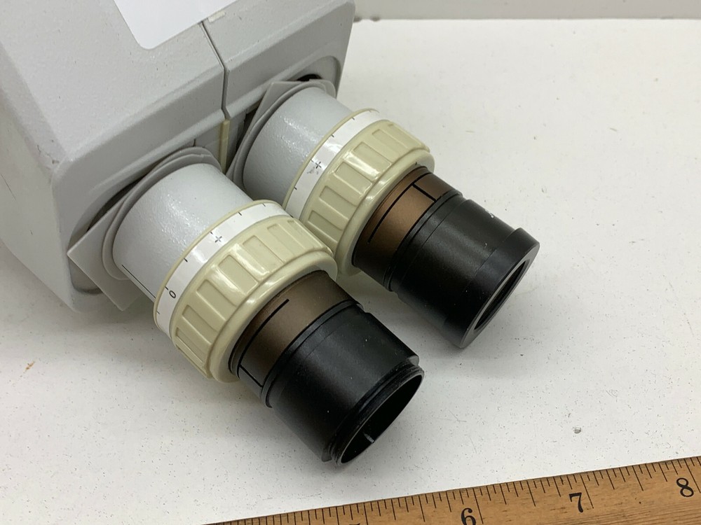 Horizon Optical Stereo Microscope Head with WF10x/22