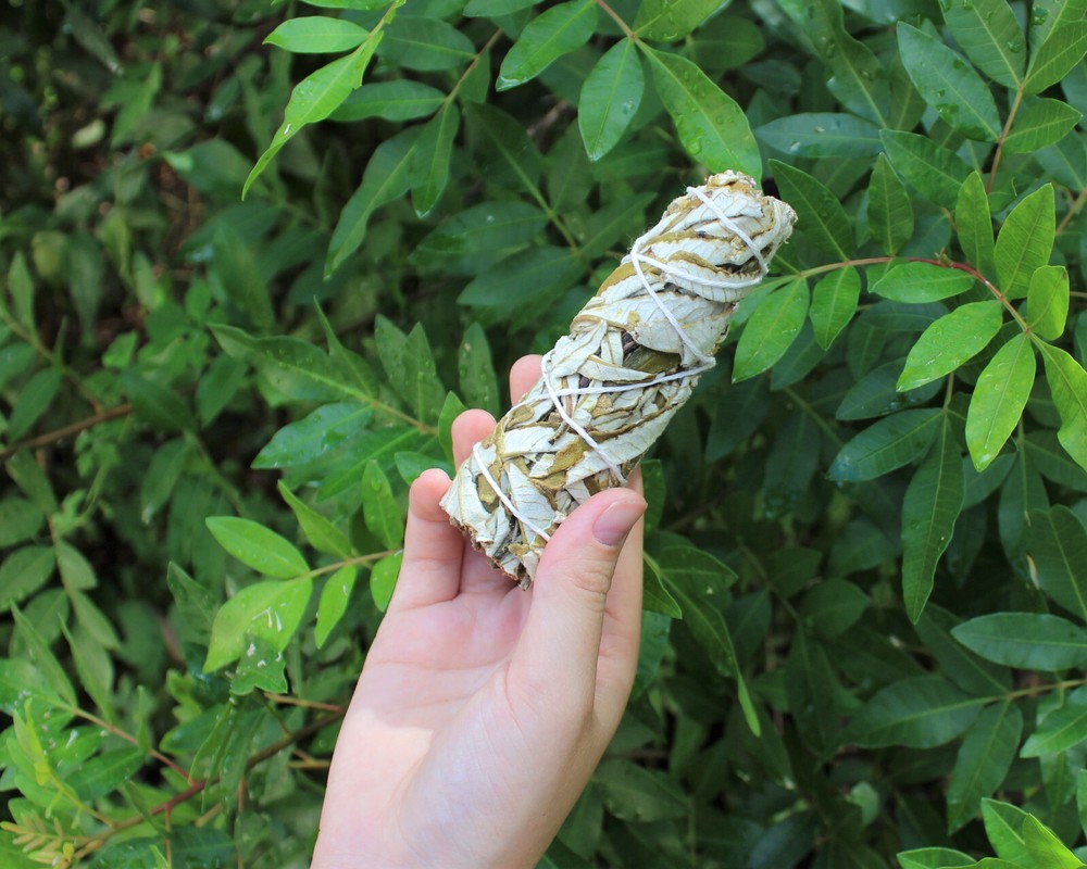 SAGE SMUDGE STICKS: BLUE, CEDAR & YERBA SAMPLER 3 PACK & WHITE FEATHER SMUDGING