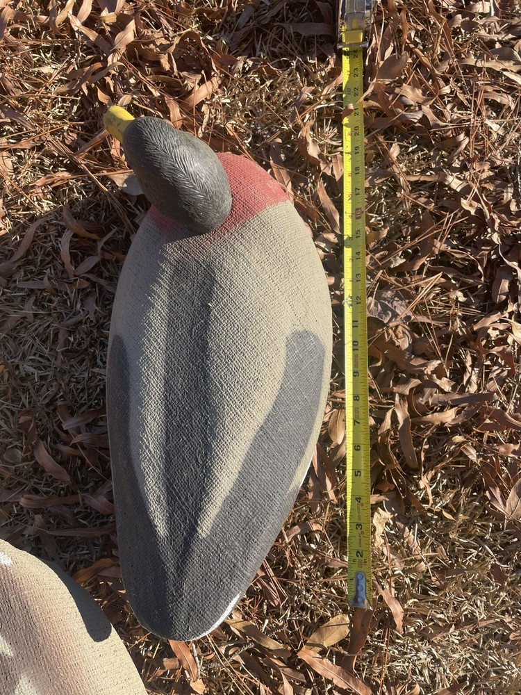 duck decoy