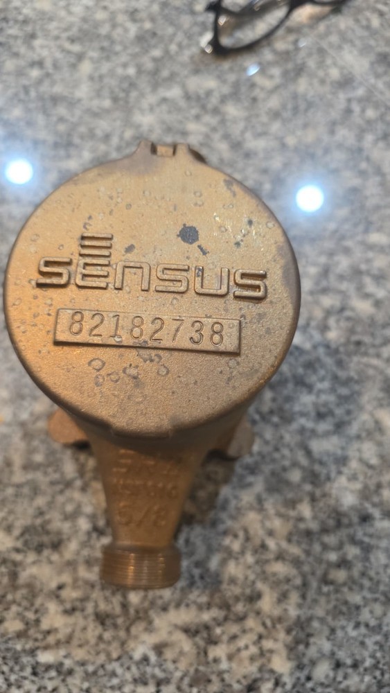 Sensus SR II 5/8" Brass Water Meter – Zero Hours – New