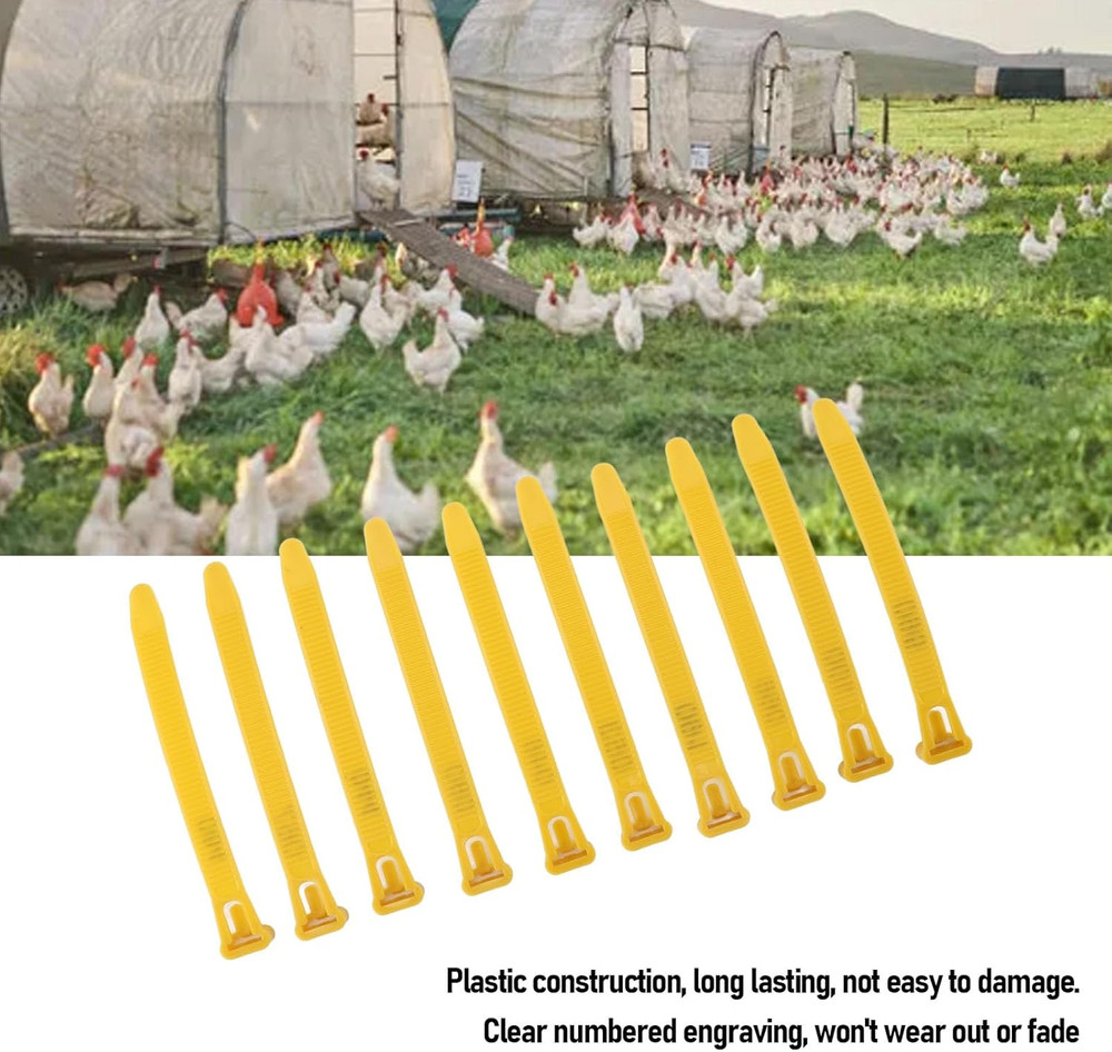 100pcs Chicken Leg Bands Rubber Chicken Identification Leg Bands Adjustable D...