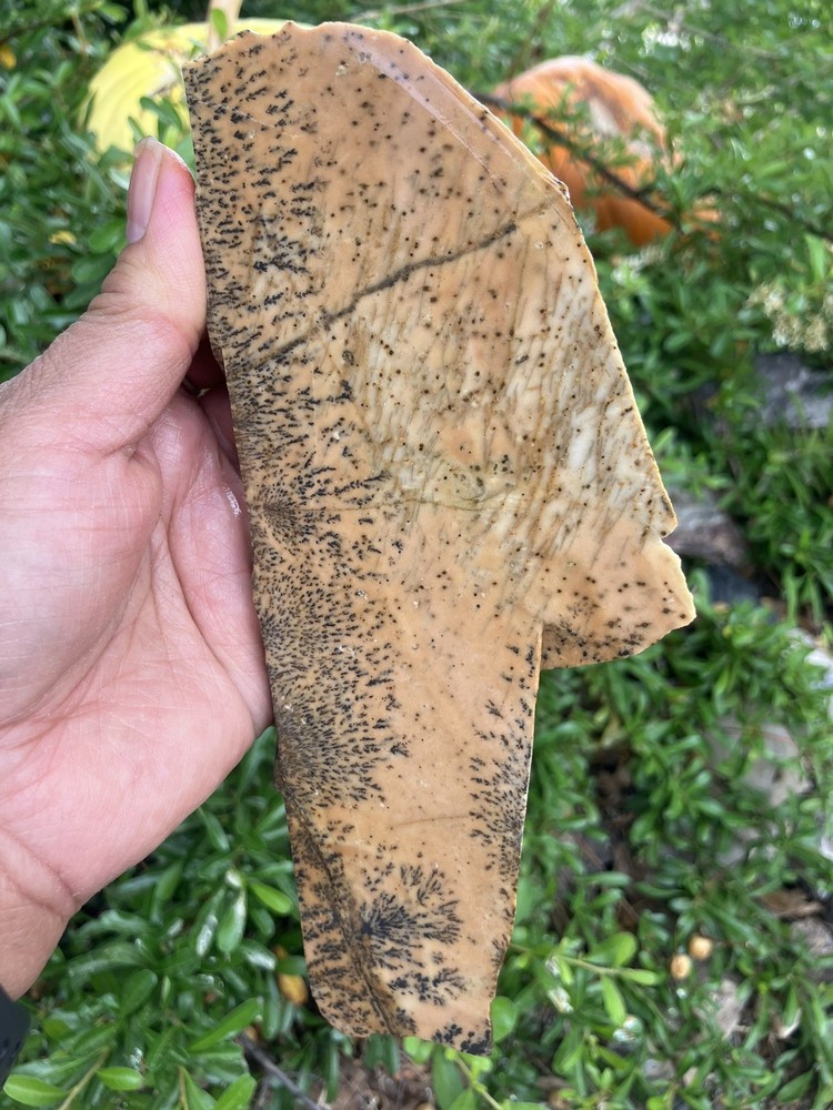 Dendritic Rhyolite Slab
