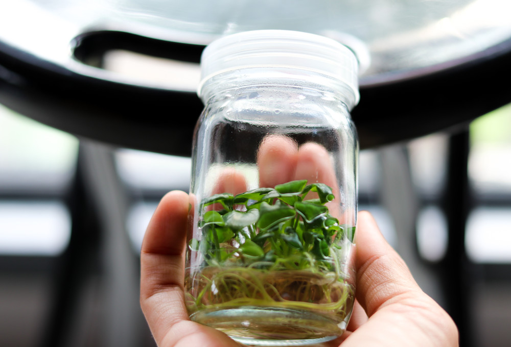 Advanced Plant Tissue Culture Cloning Kit