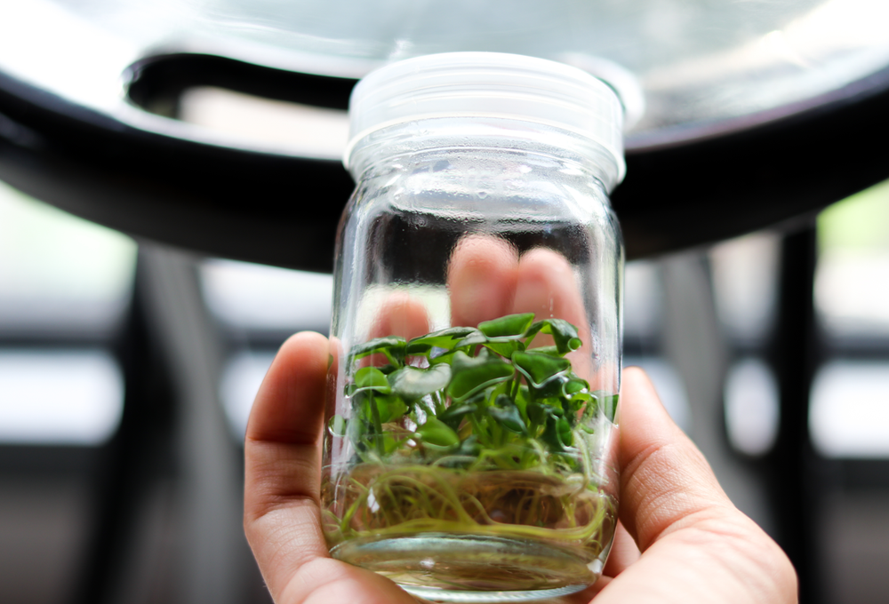 Advanced Plant Tissue Culture Cloning Kit