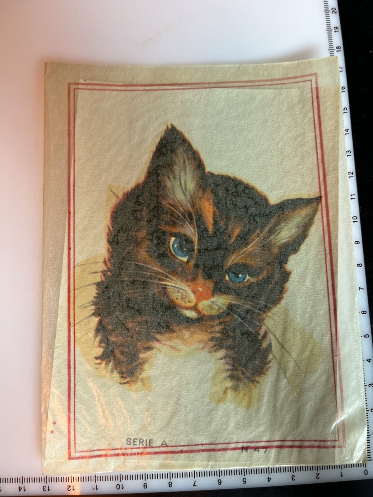 Vintage Water Slide Decals Cat