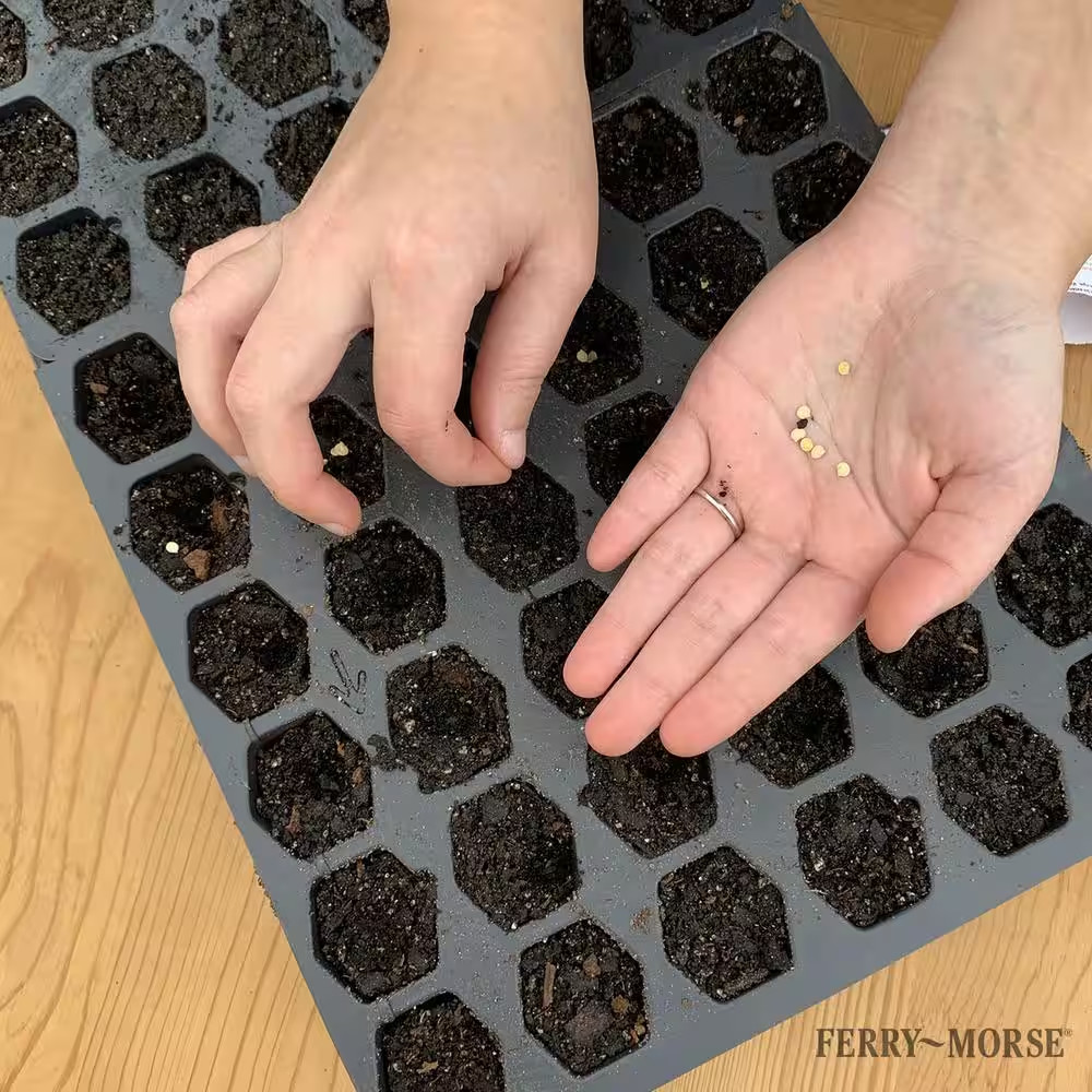 Pro-Hex Seed Starting Tray Kit
