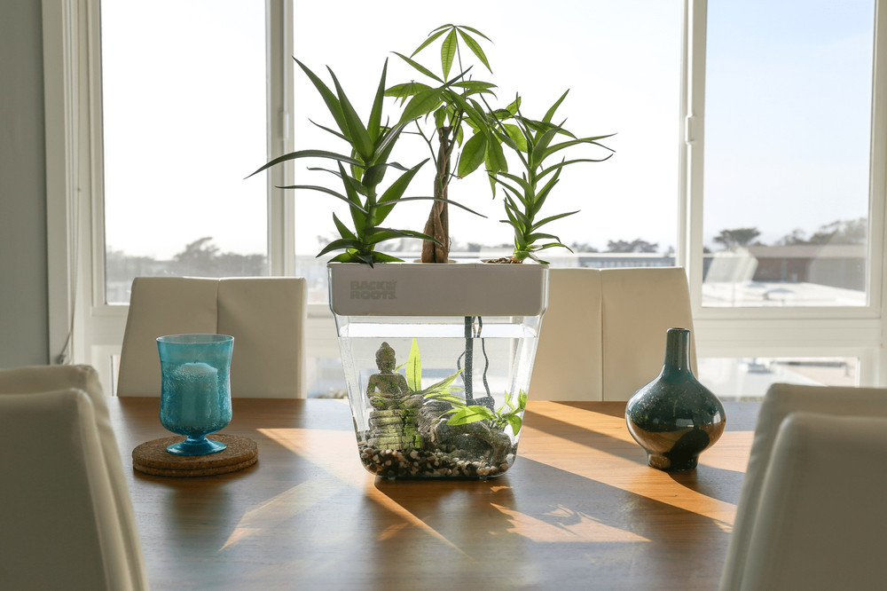 Water Garden Duo: Hydroponics / Aquaponics Eco-system