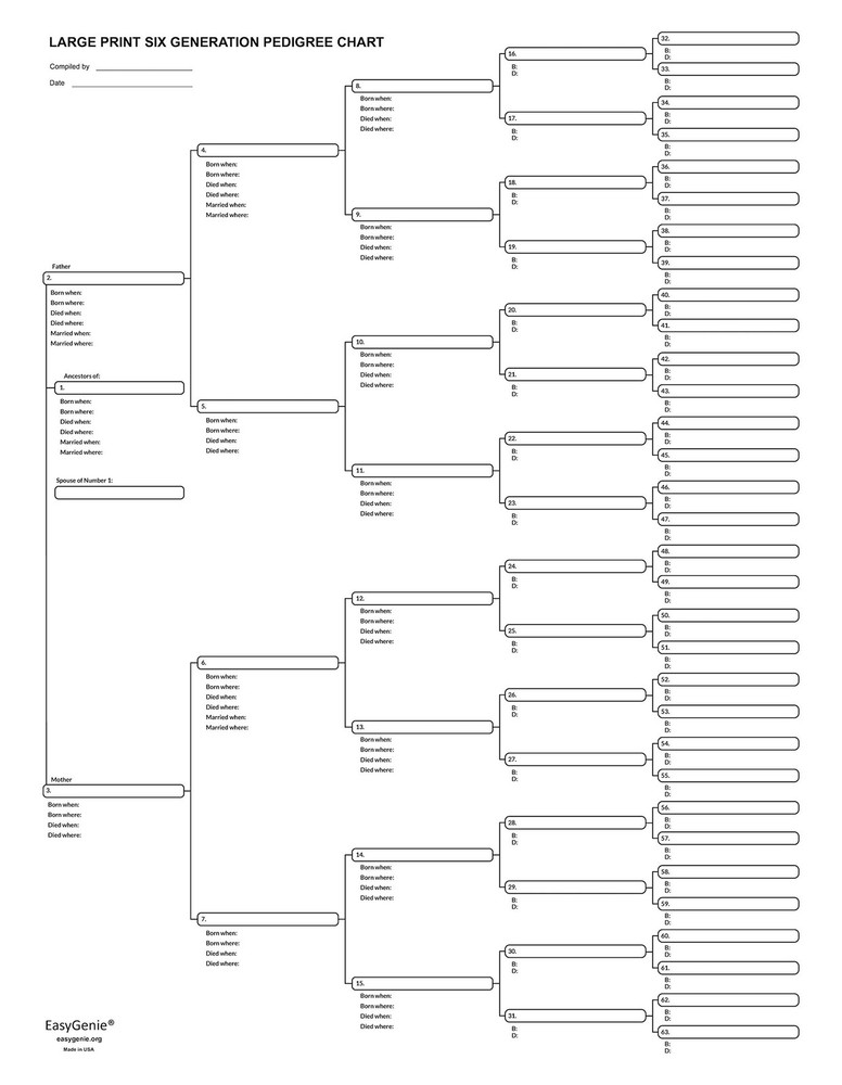 Large Print Blank Pedigree Chart 6 Generation Genealogy Form