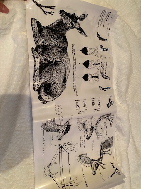 Redesign with Prima Transfer- Deer