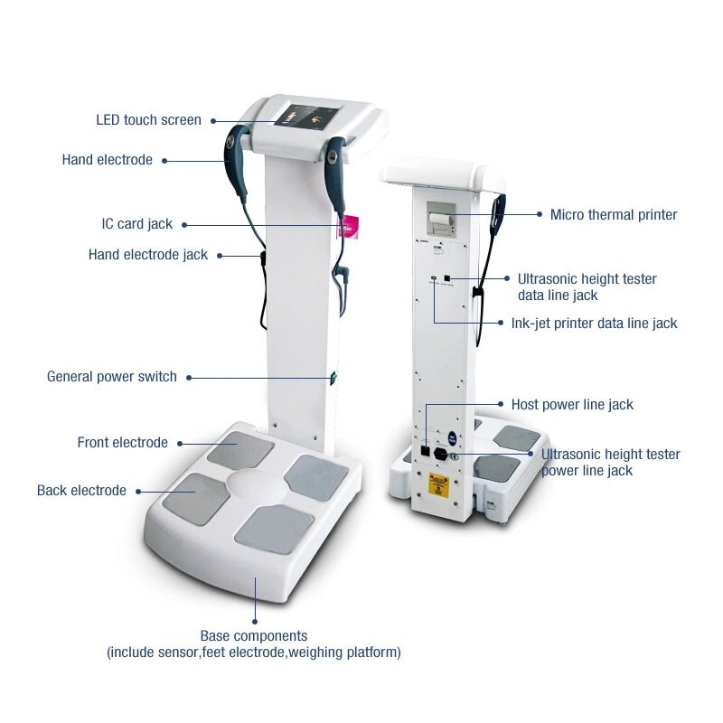 Human-Body Composition Analyzer BMI Body Fat Meter Body Element Analyzer+Printer