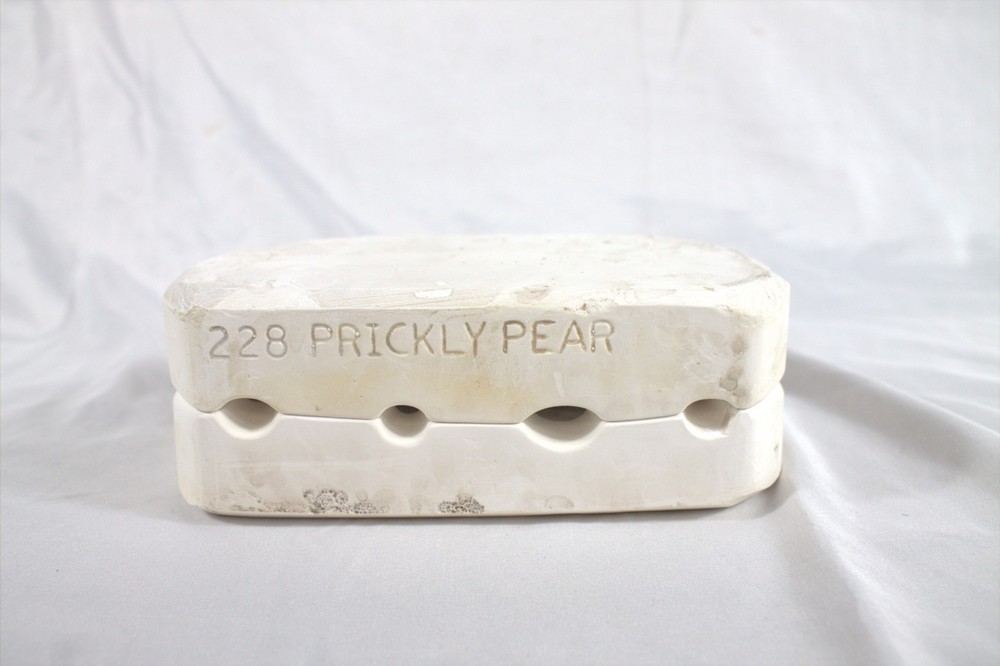 Ceramic Slip Casting Mold Oasis Prickly pear Cactus #228