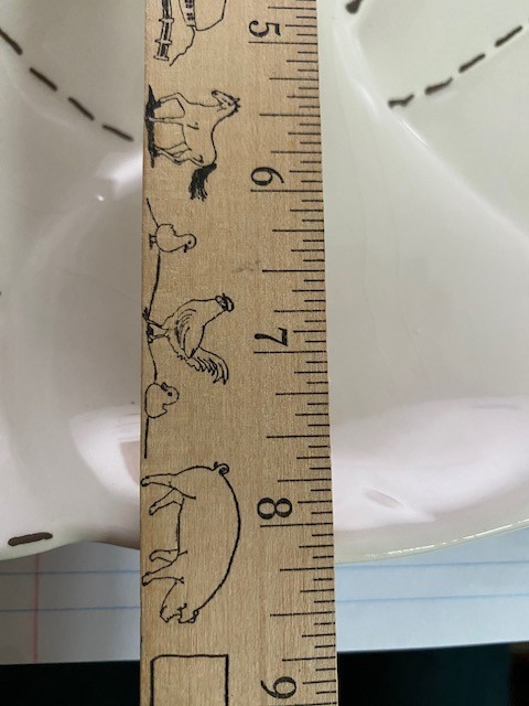 8 x 12 Transpac Dolomite Turkey platter Exc Condition