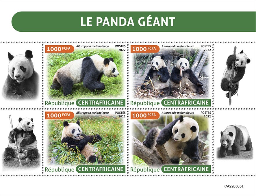 Giant panda