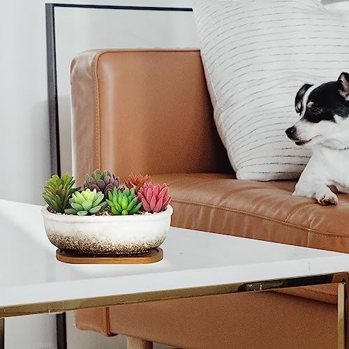 Succulent Pots, 7.9 Inch Long Rectangular Succulent Planters with White