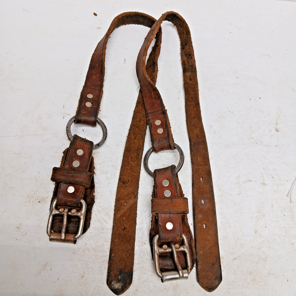 2 EACH, POLE OR TREE, CLIMBER STRAPS, BOTTOM STRAPS  (2)