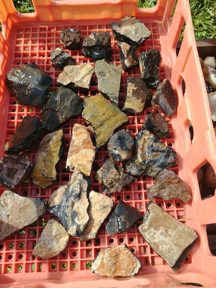 Tree Bark Agate Rough Seam Agate Rough Slabs 5.5 lbs 2532gms.