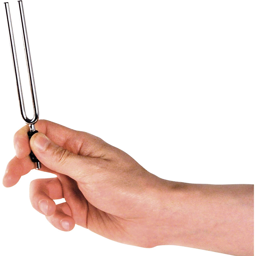 D'Addario Planet Waves Tuning fork E