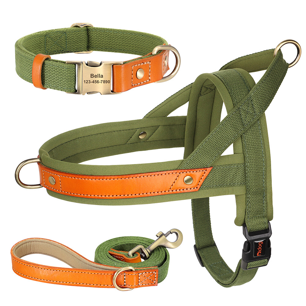 Personalized Dog Collar & Walking Leash & Soft Padded No Pull Vest Harness XS-L