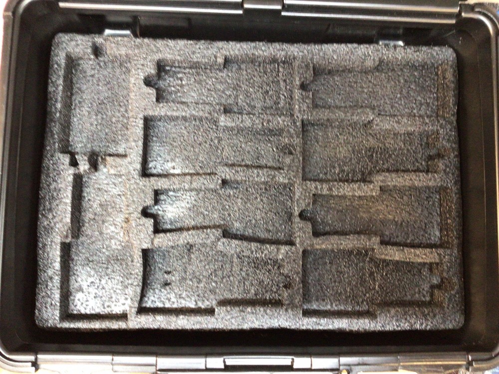 Colorado Timing System Dolphin wireless watches