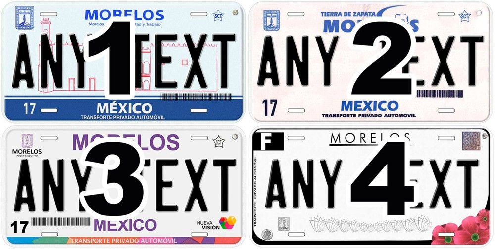 Morelos Personalized Car Auto Mexico License Plates Any Text