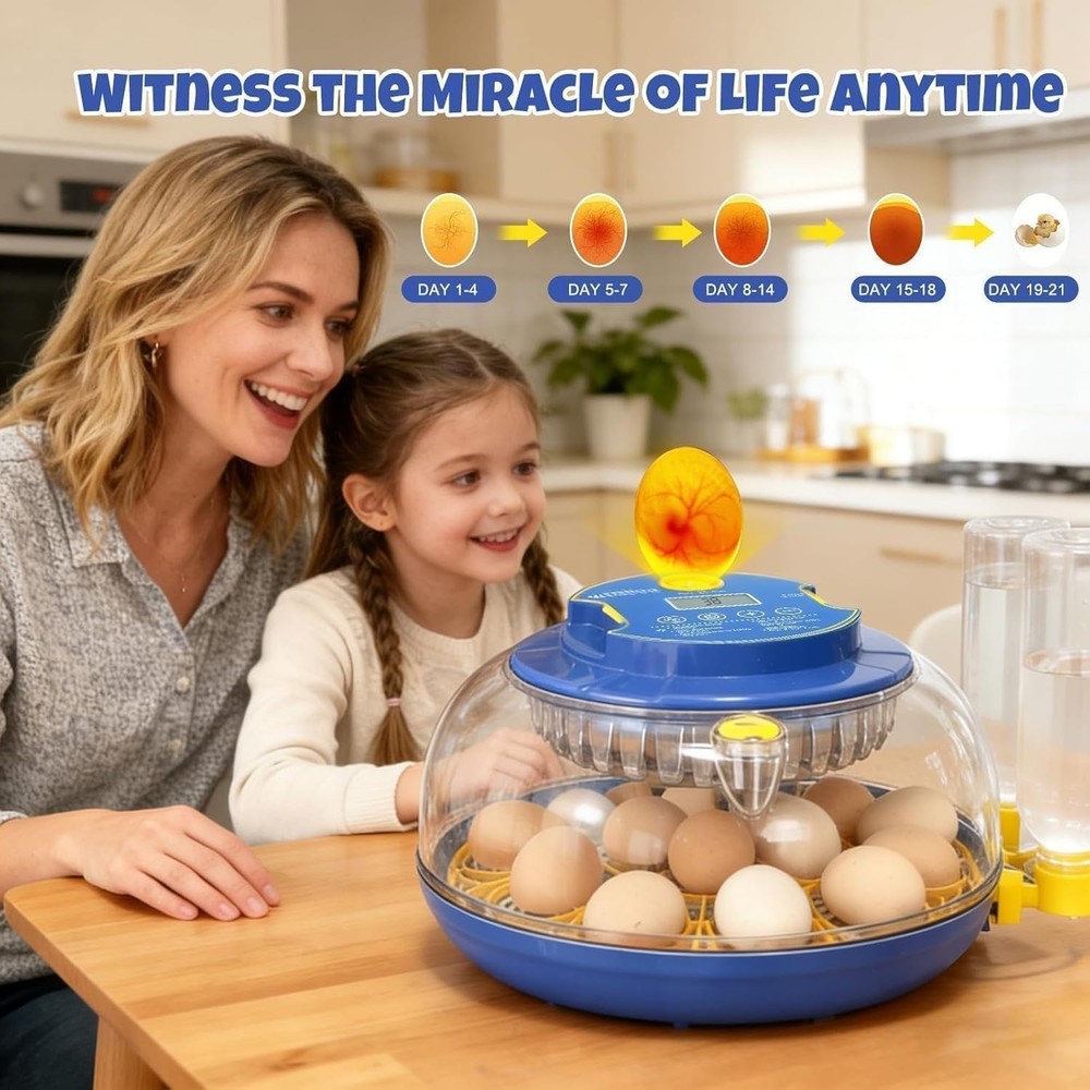 Automatic 18-Egg Incubator with Adjustable Humidity & Integrated Candler