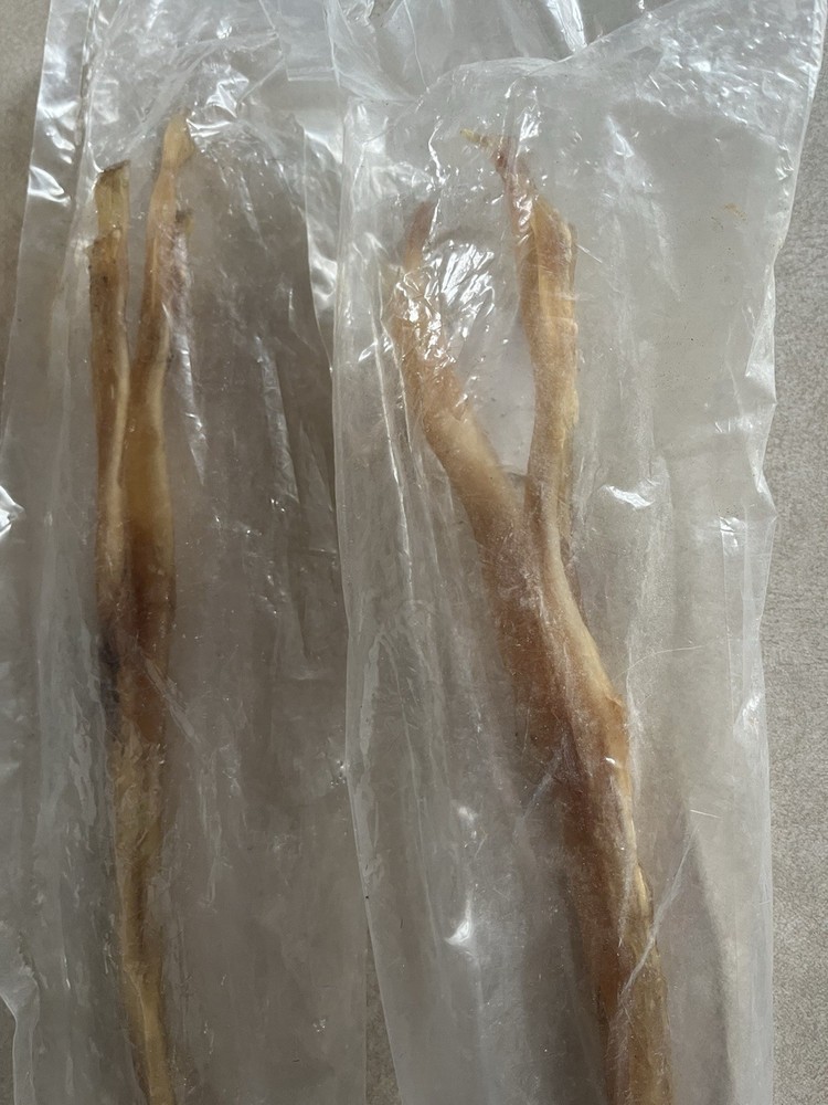 Moose Leg Sinew ~ (Two) Large