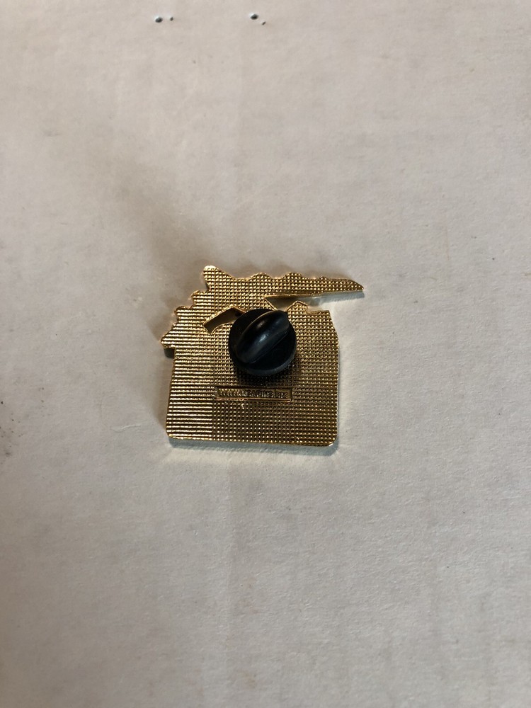 Enduring Freedom Hat/Lapel Pin